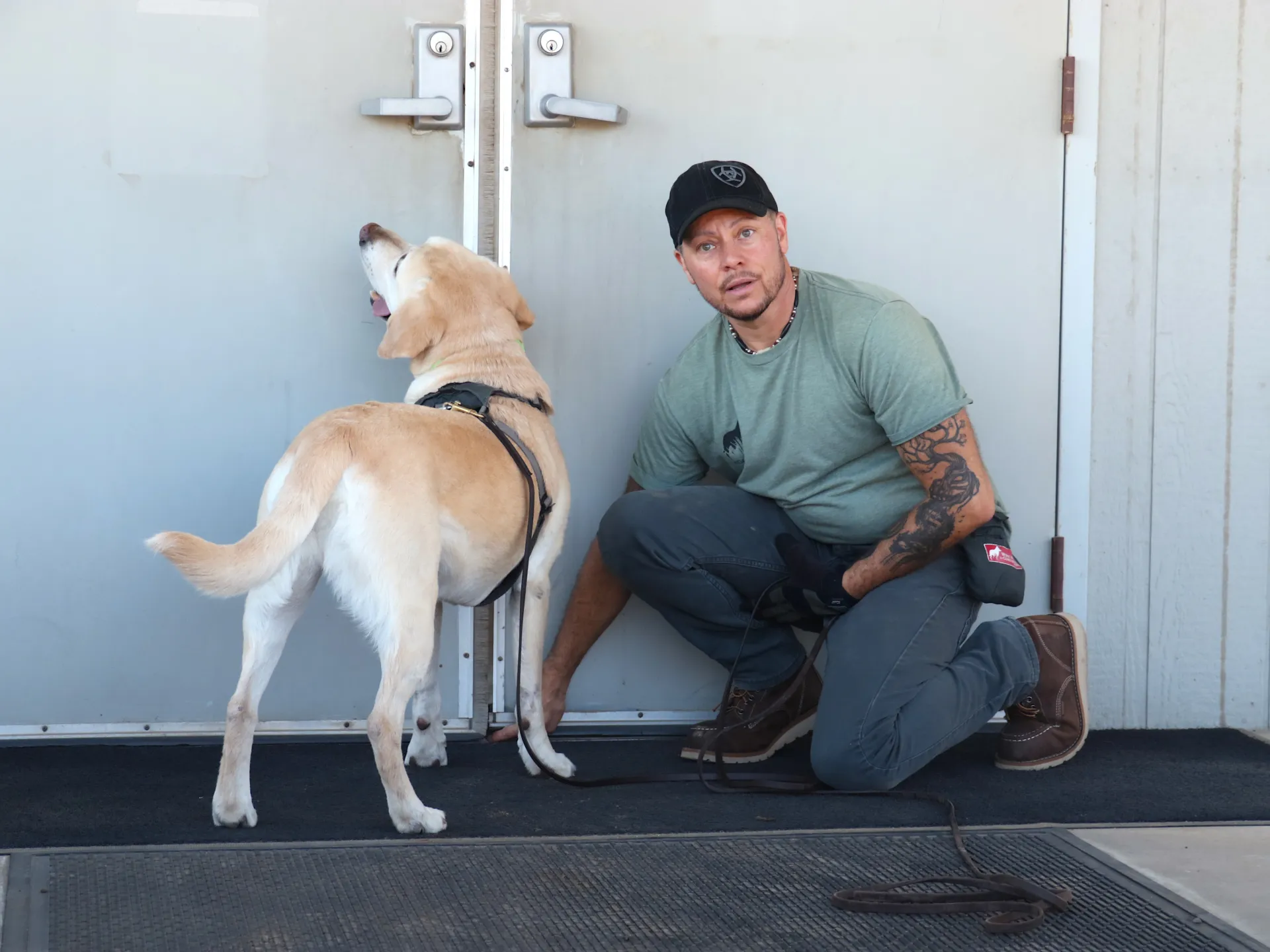 A dog and a person stand outside of a door