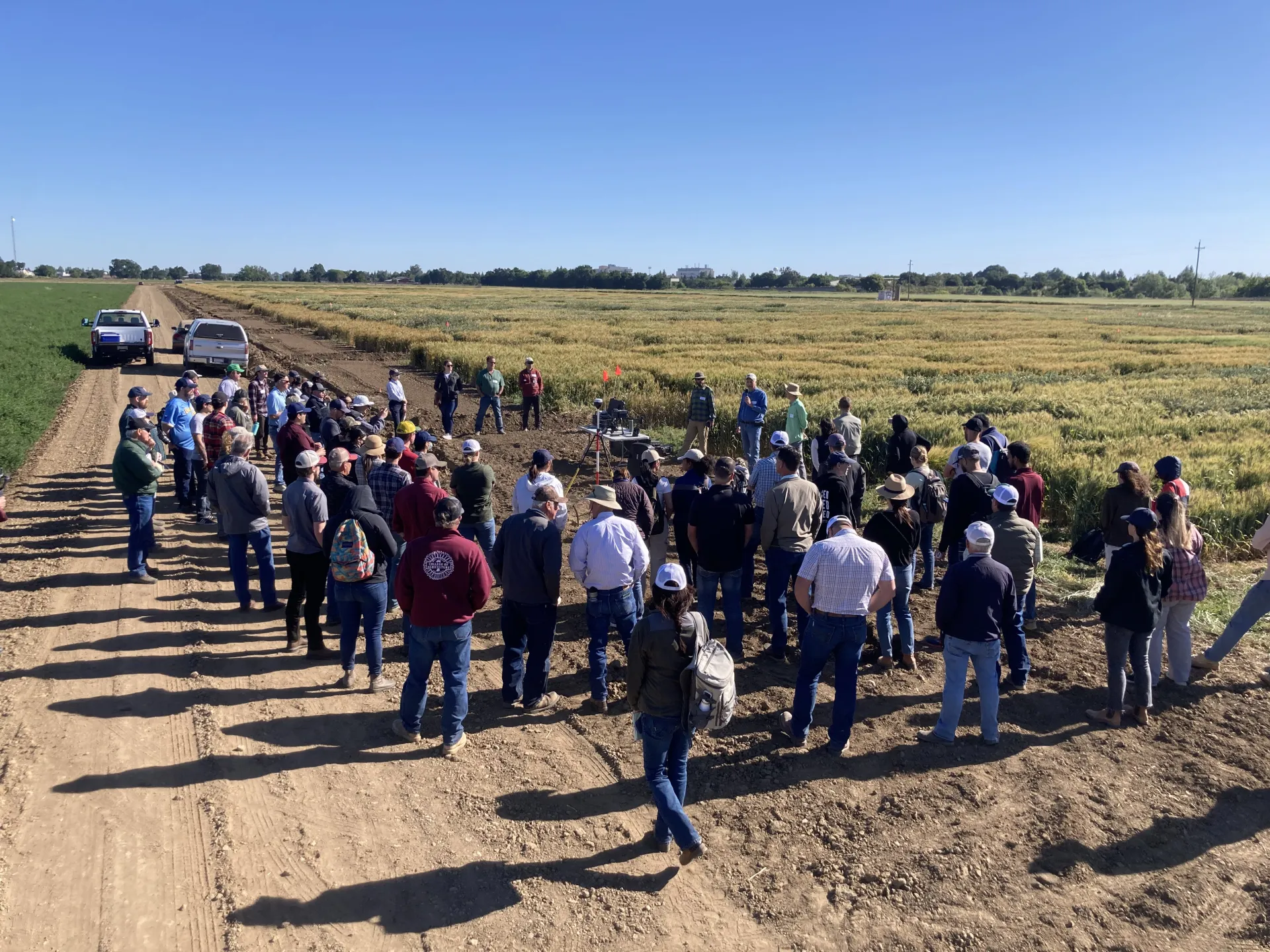 attendees gather round at a field day