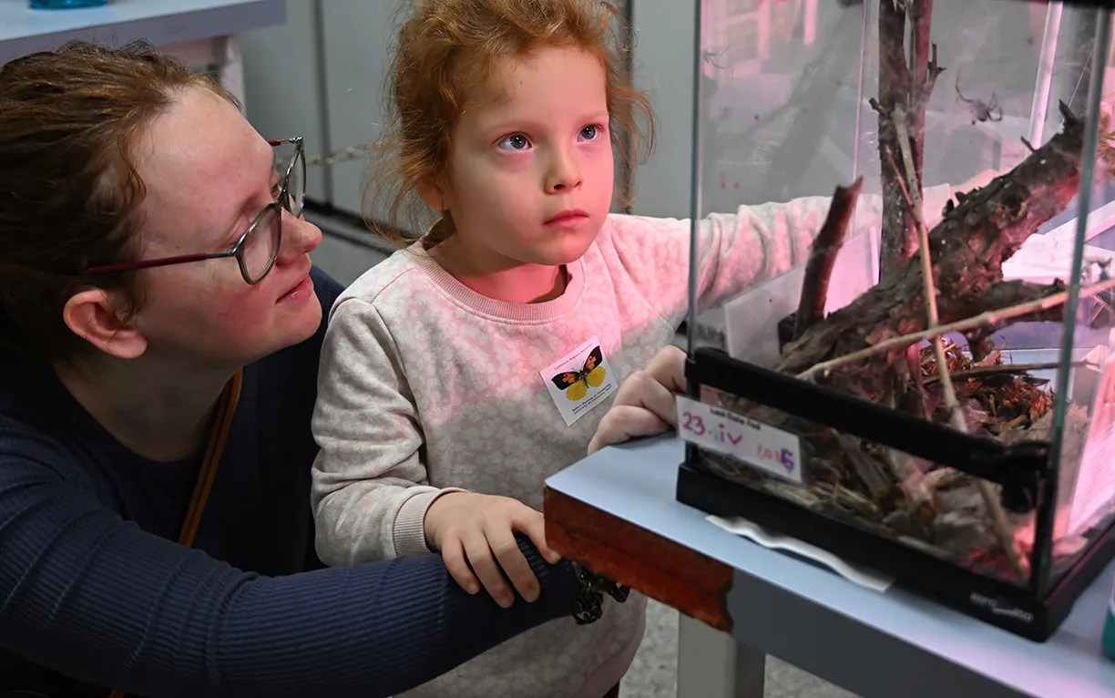 Angelina Petersen and her daughter, Elleanna, 5, look at black widow spiders.