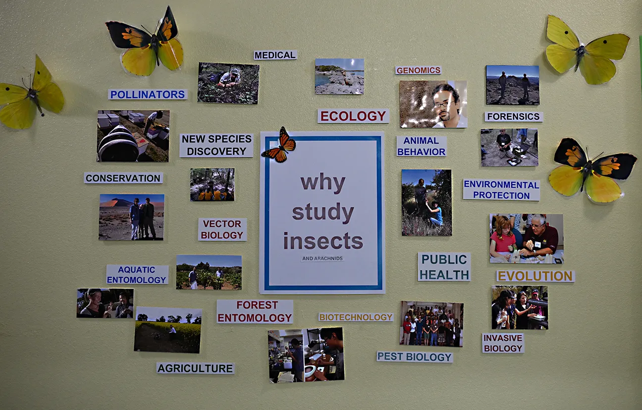 A bulletin board shows multiple careers in entomology.