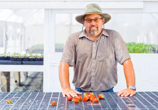 Man standing in front of a table with tomatoes on table