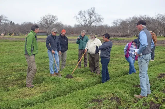 Farmers at work in field