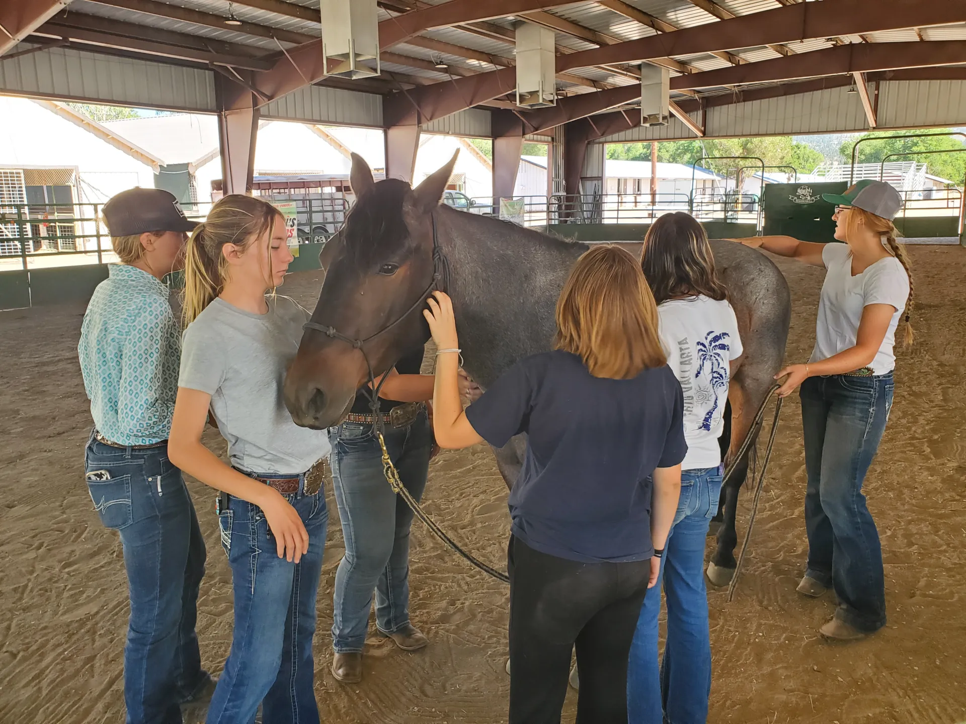 Youth interact with trained mustang
