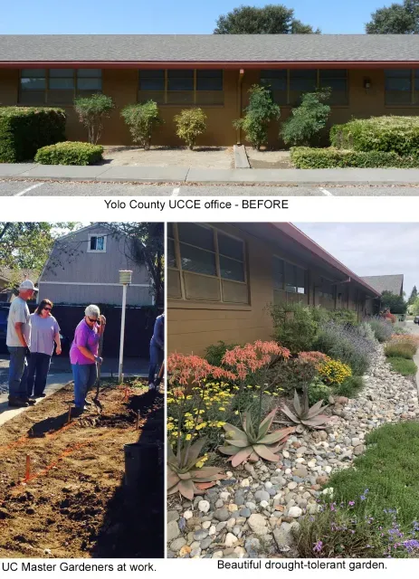 gardeners at work