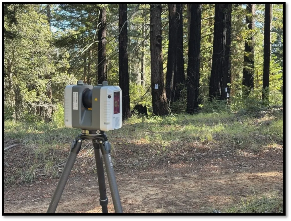 A terrestrial lidar unit on a tripod facing a clump of coast redwood trees.