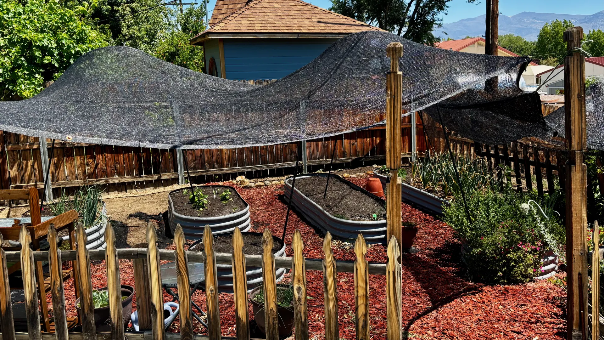 A home garden covered with a shade cloth. 