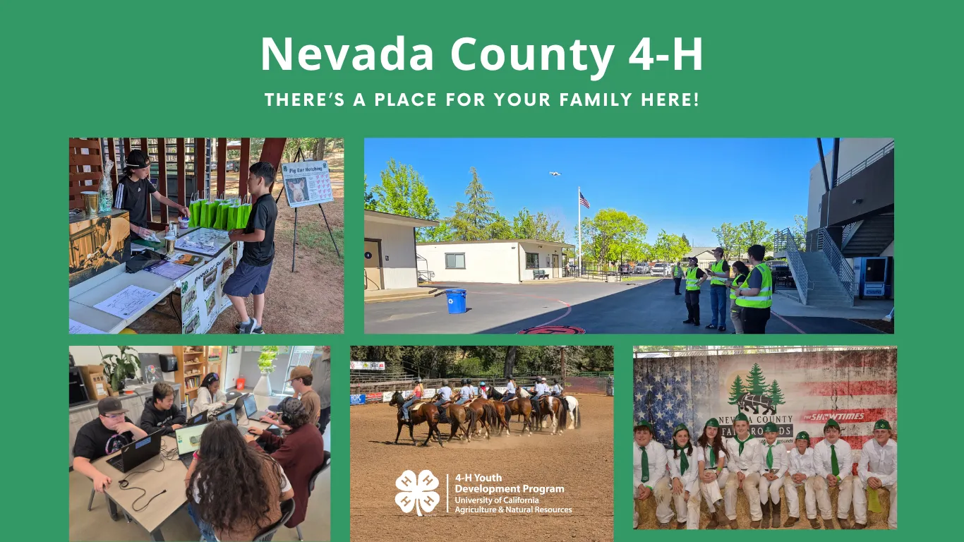 A collage of photos featuring 4-H youth members engaged in 4-H project learning, including the words, "There's a place for your family here."