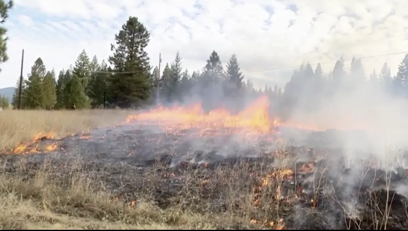 Grass fire