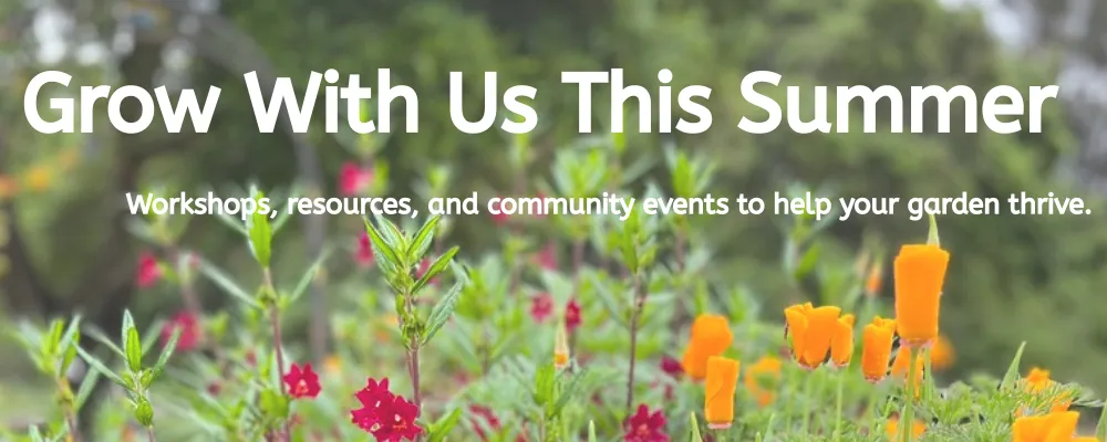 Grow with us this summer: Workshhops, resources and community events to help your garden thrive