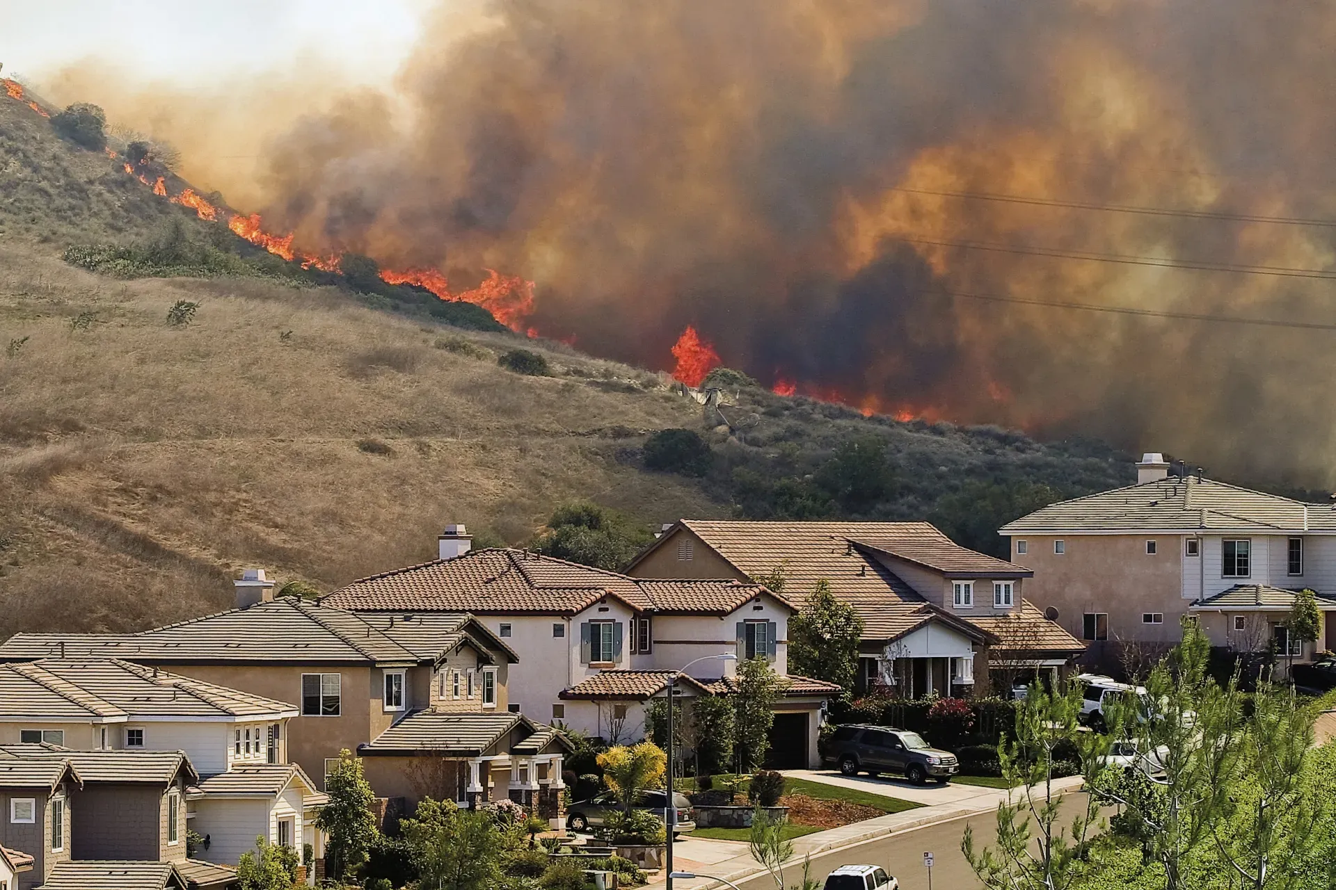 Wildfire in subdivision
