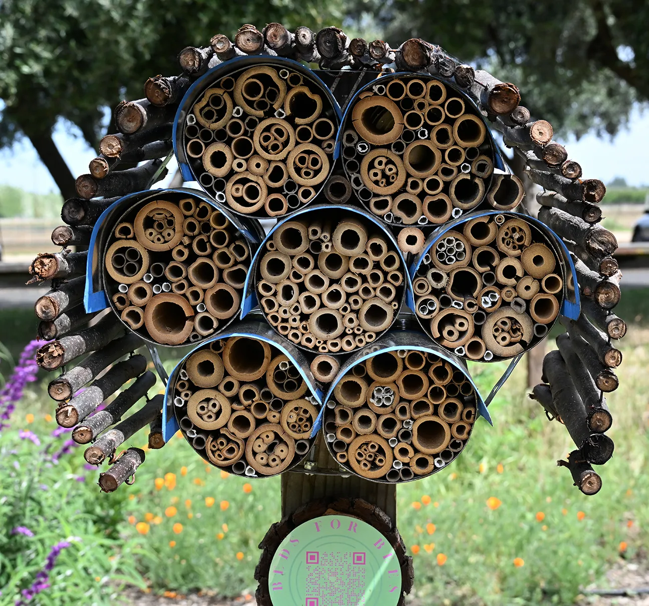 Beds for Bees, a Girl Scout project in the UC Davis Bee Haven by Sophie Webb