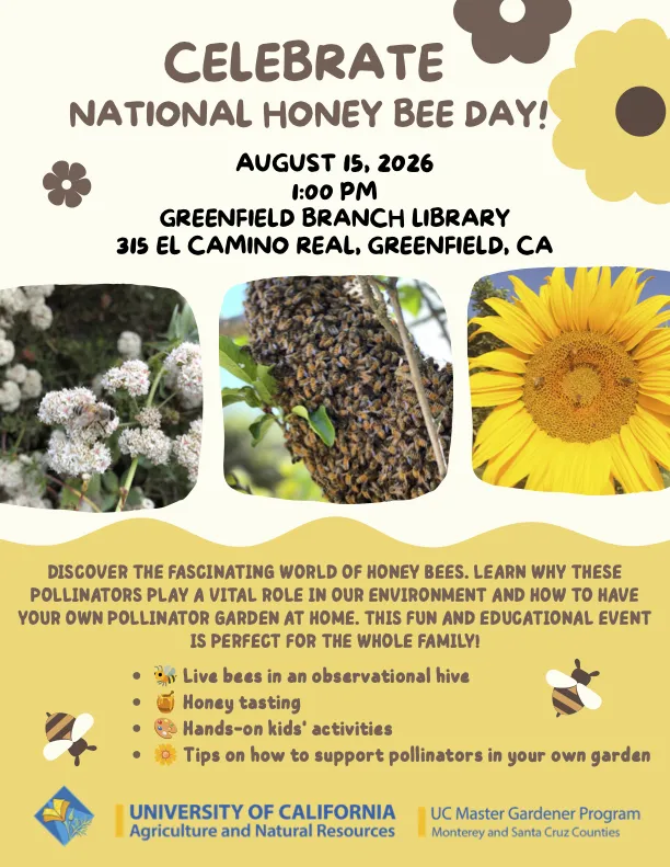 flyer for National Hone Bee Day event 