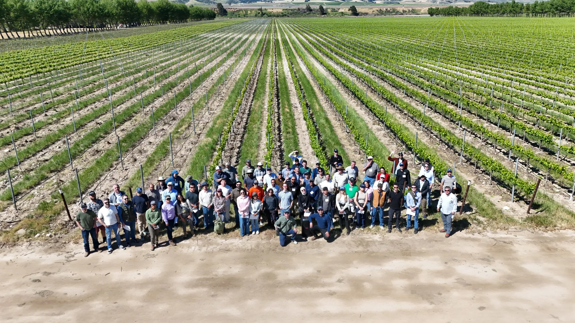 Aerial view of 60-some people standing at the edge of a vineyard