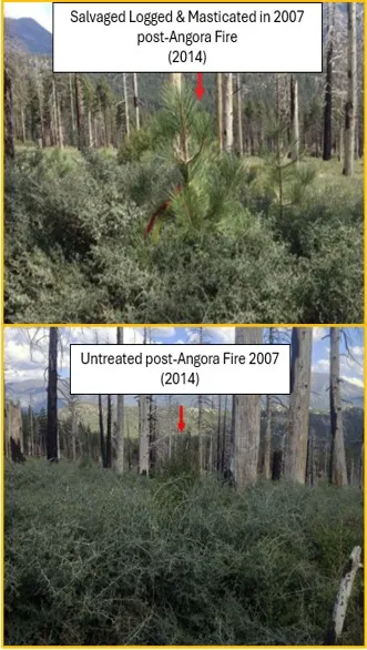 Comparison of treated post fire land versus untreated. 