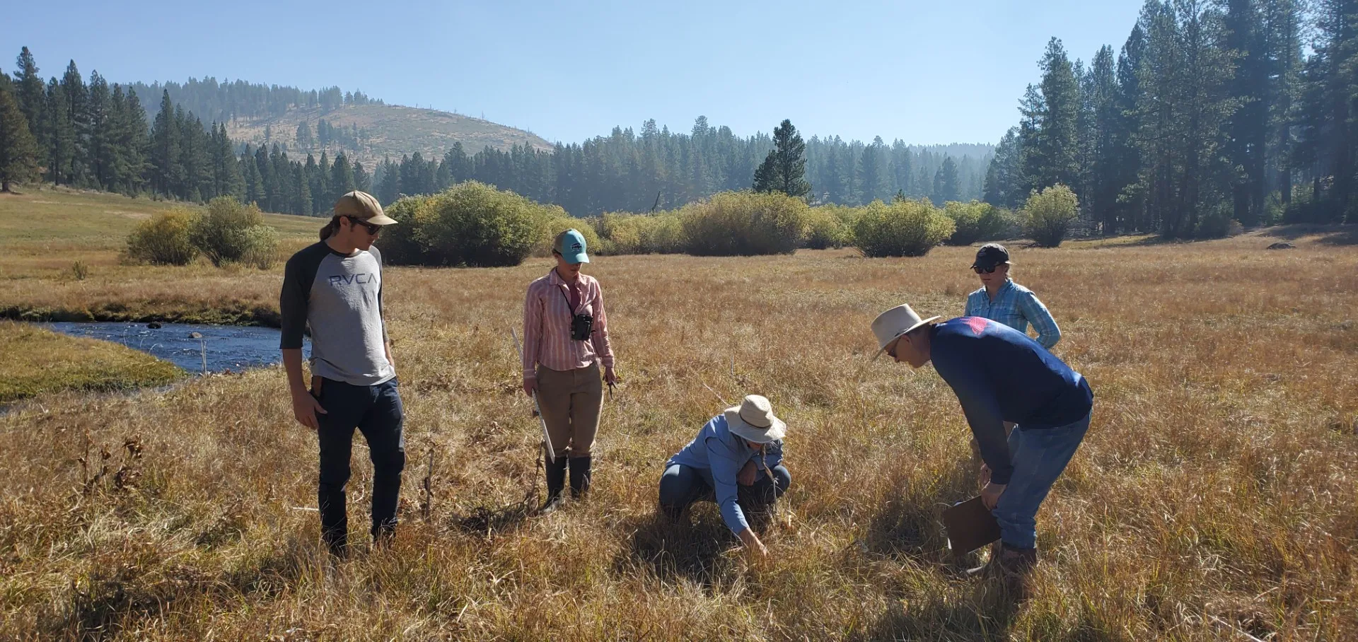 Five people in dry grass meadow with stream flowing past on the left. One person squatting and pointing at something on the ground.