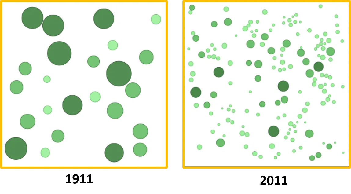 Chart showcasing changes in a mixed-conifer forest over a century.