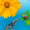 Yellow flower with clippers and ladybug