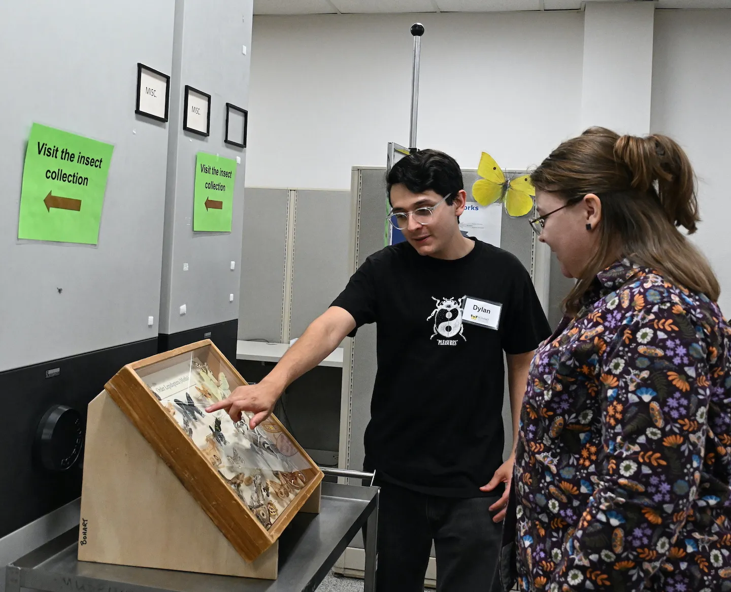 UC Davis scientist (and alumnus) Dylan Vega points to one of the moth specimens. (Photo by Kathy Keatley Garvey)