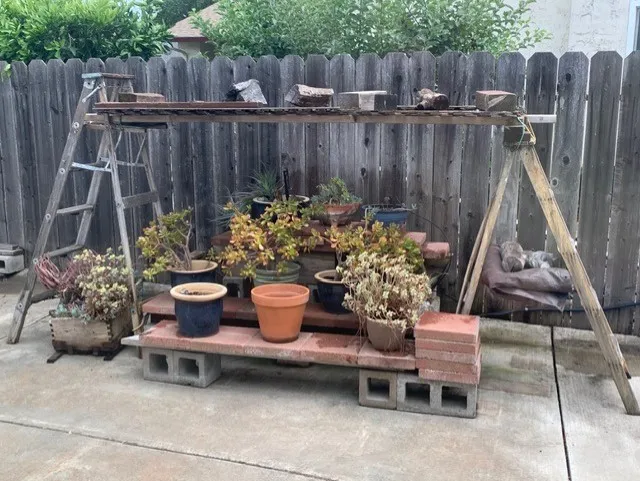 Old wooden ladders used to create lattice shade support