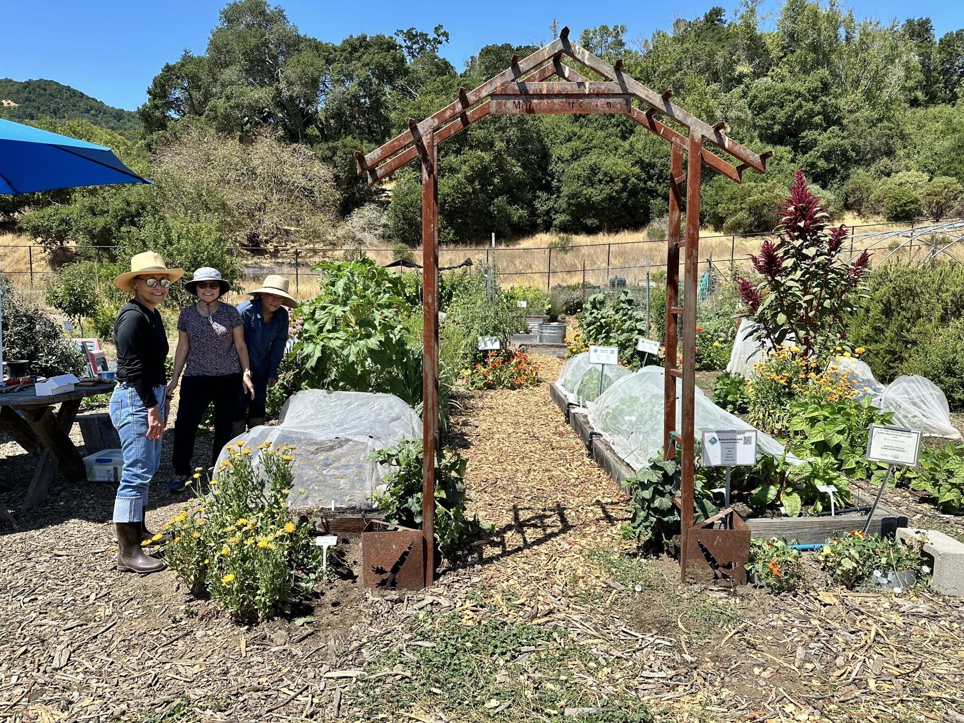 Marin Edible Demonstration Garden