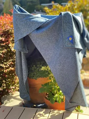 plants covered with a cloth to protect from frost