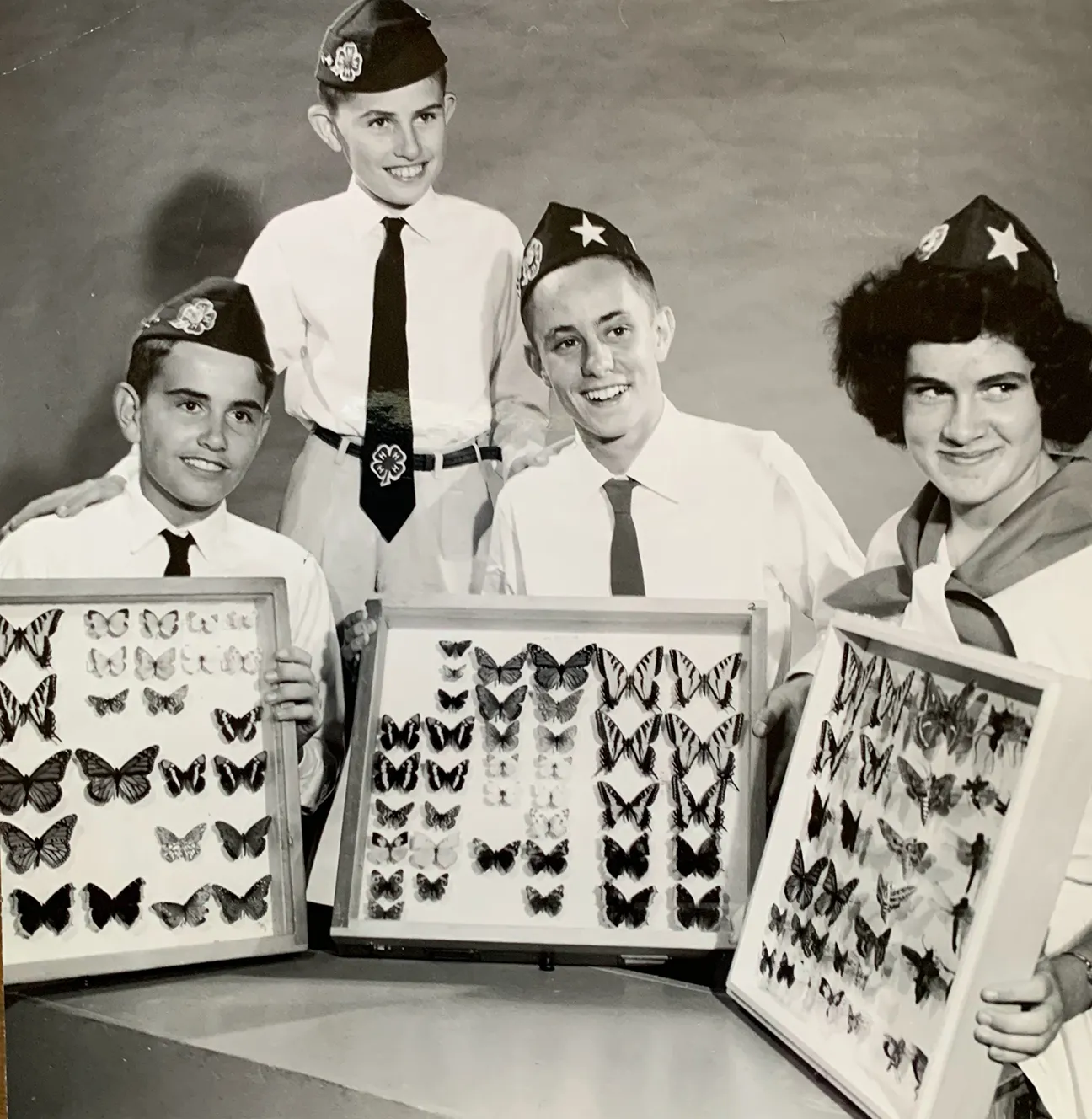 Steve Clement (center) with three other Ventura County 4-H'ers and their butterfly collections.