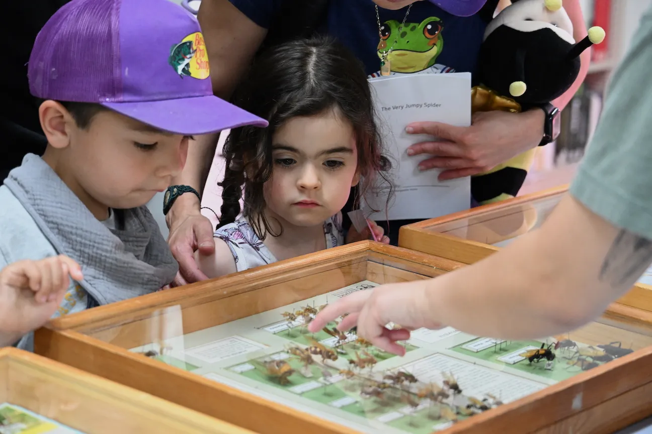 Youngsters learning about insects at a Bohart Museum of Entomology open house.