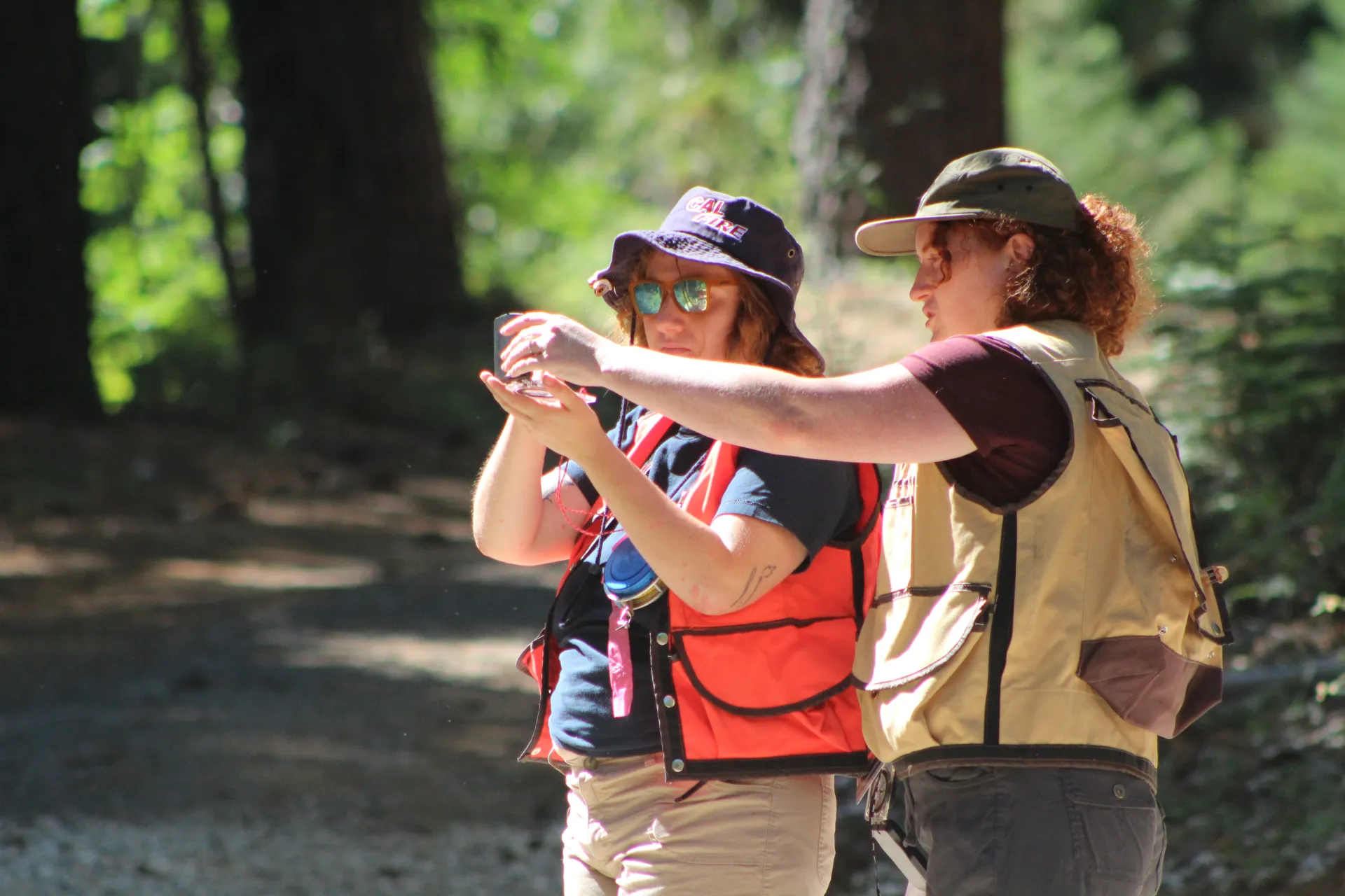 Two people stand in a forest and use a compass.
