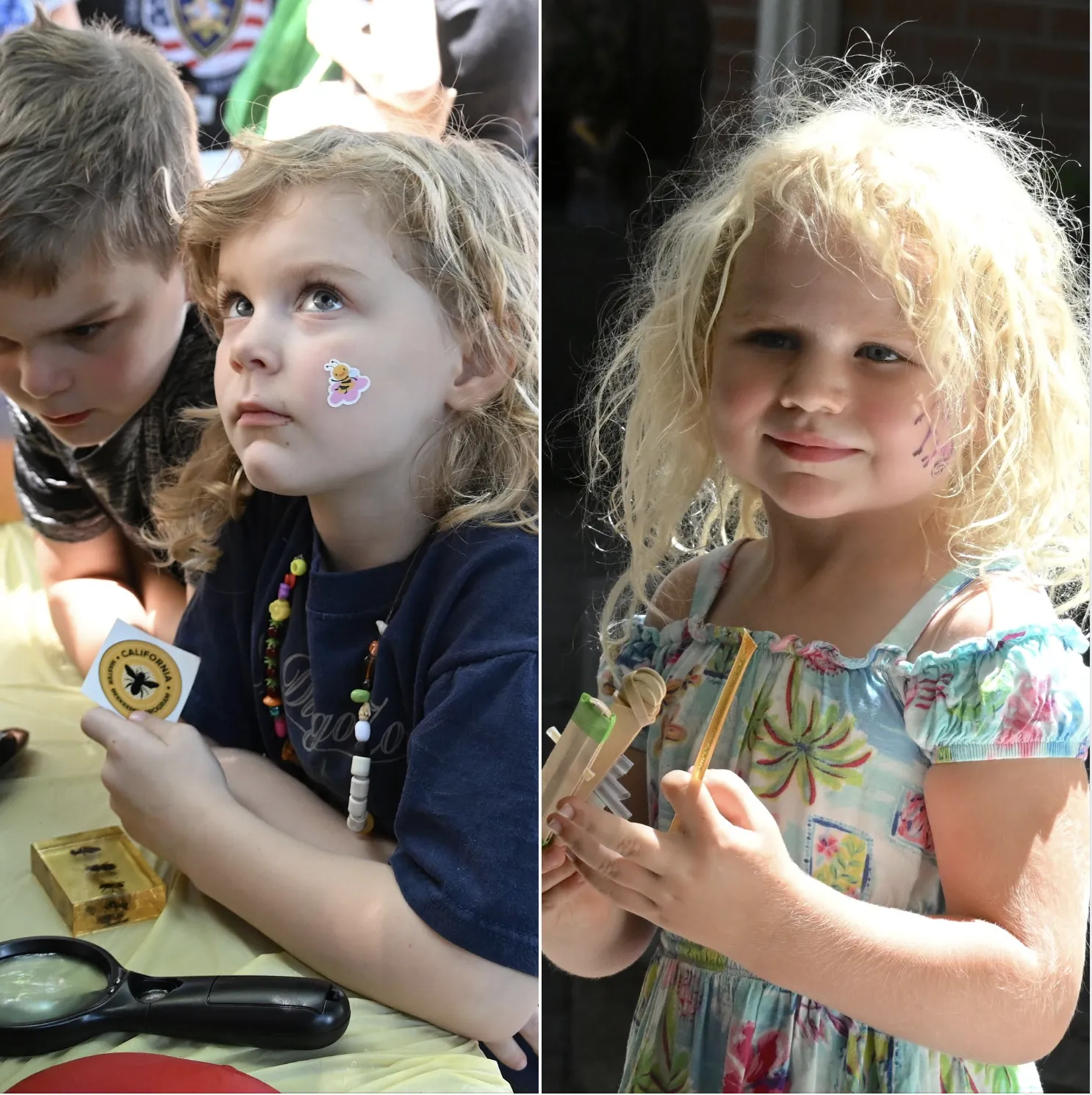 Evie Thurston, 5, and her brother Noah, 7 look at the bee observation hive. At right is Brooklyn Rusert, 4, with honey sticks donated by The Hive, Woodland. (Photo by Kathy Keatley Garvey)