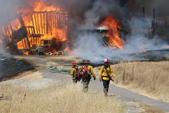 Gelding fire