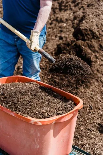 person shoveling compost from a pile into a bucket