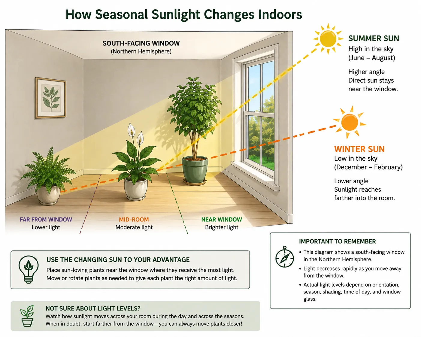 graphic showing the difference between winter and summer sun in terms of the amount of light that enters a room