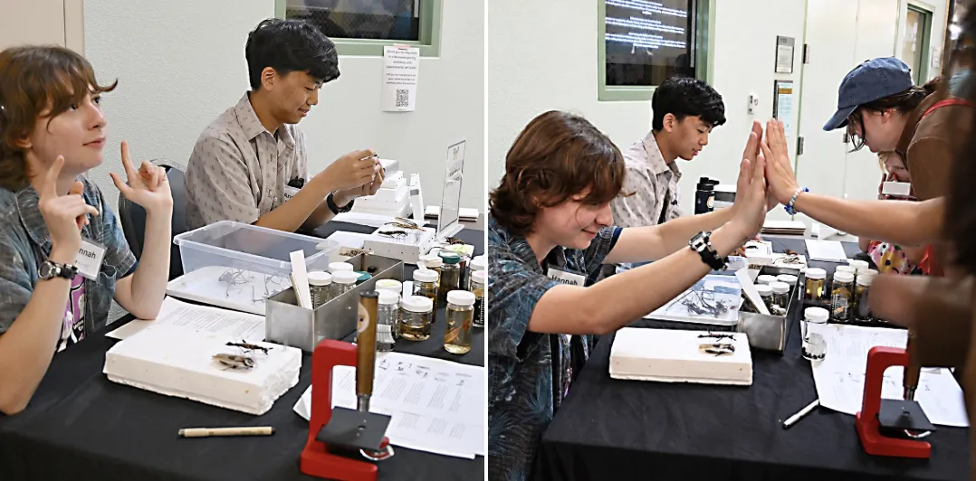 Entomology undergraduates Hannah Petok and Albert Chung interacting with visitors.