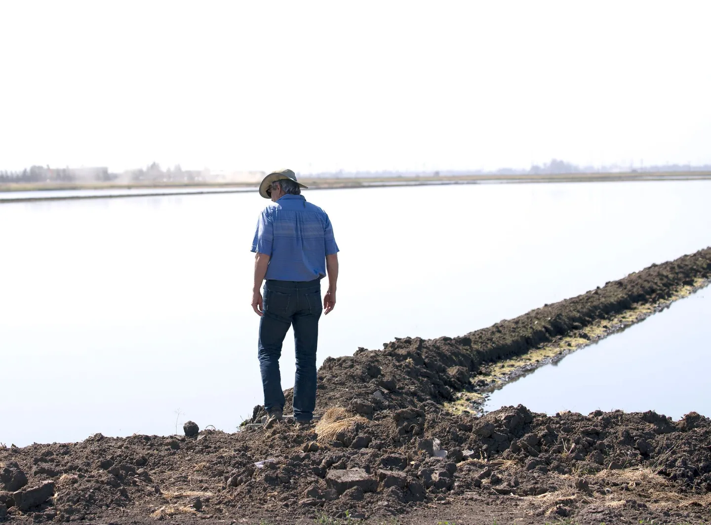 Water Quality Research