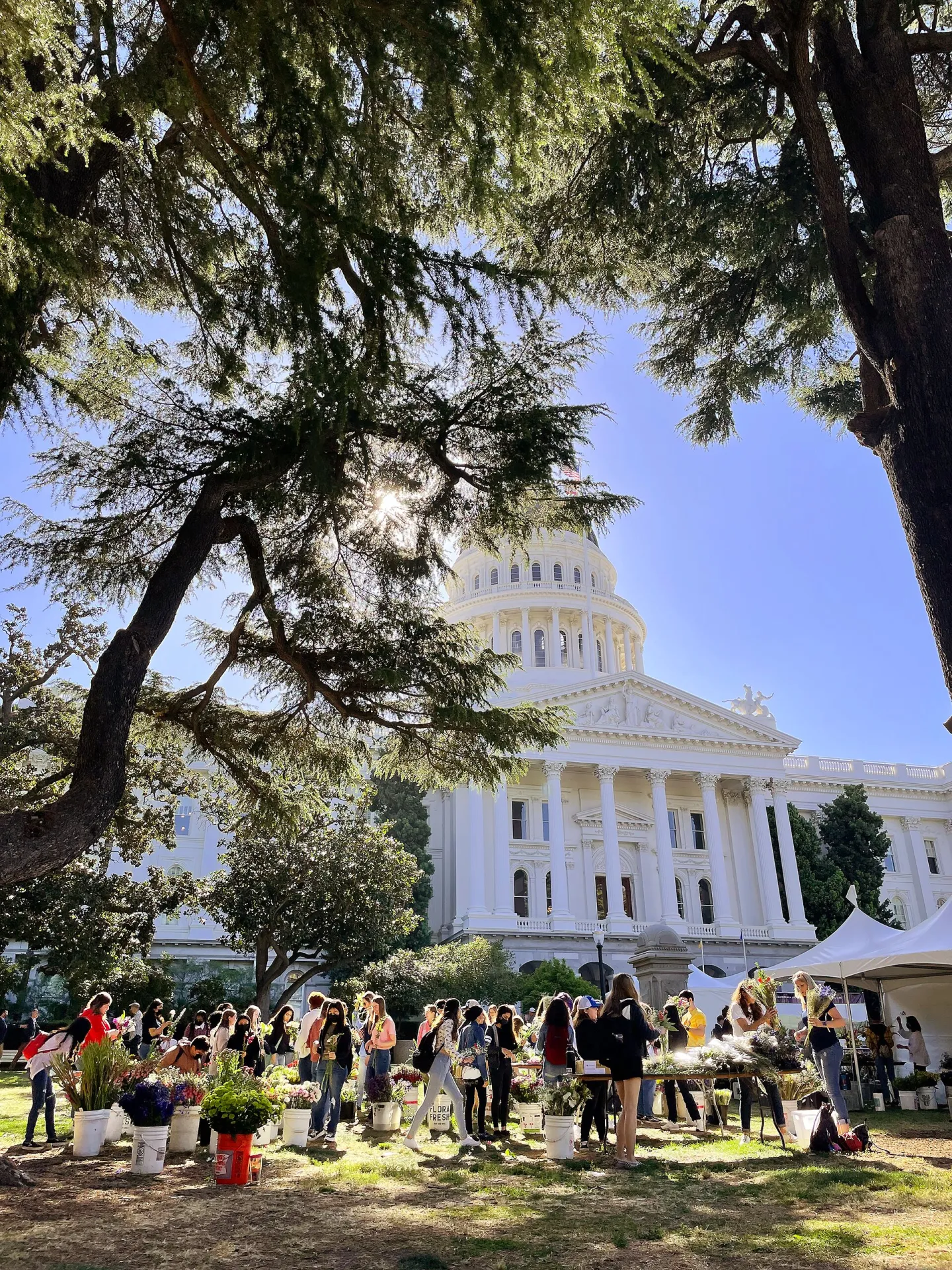 Youth near State Capitol