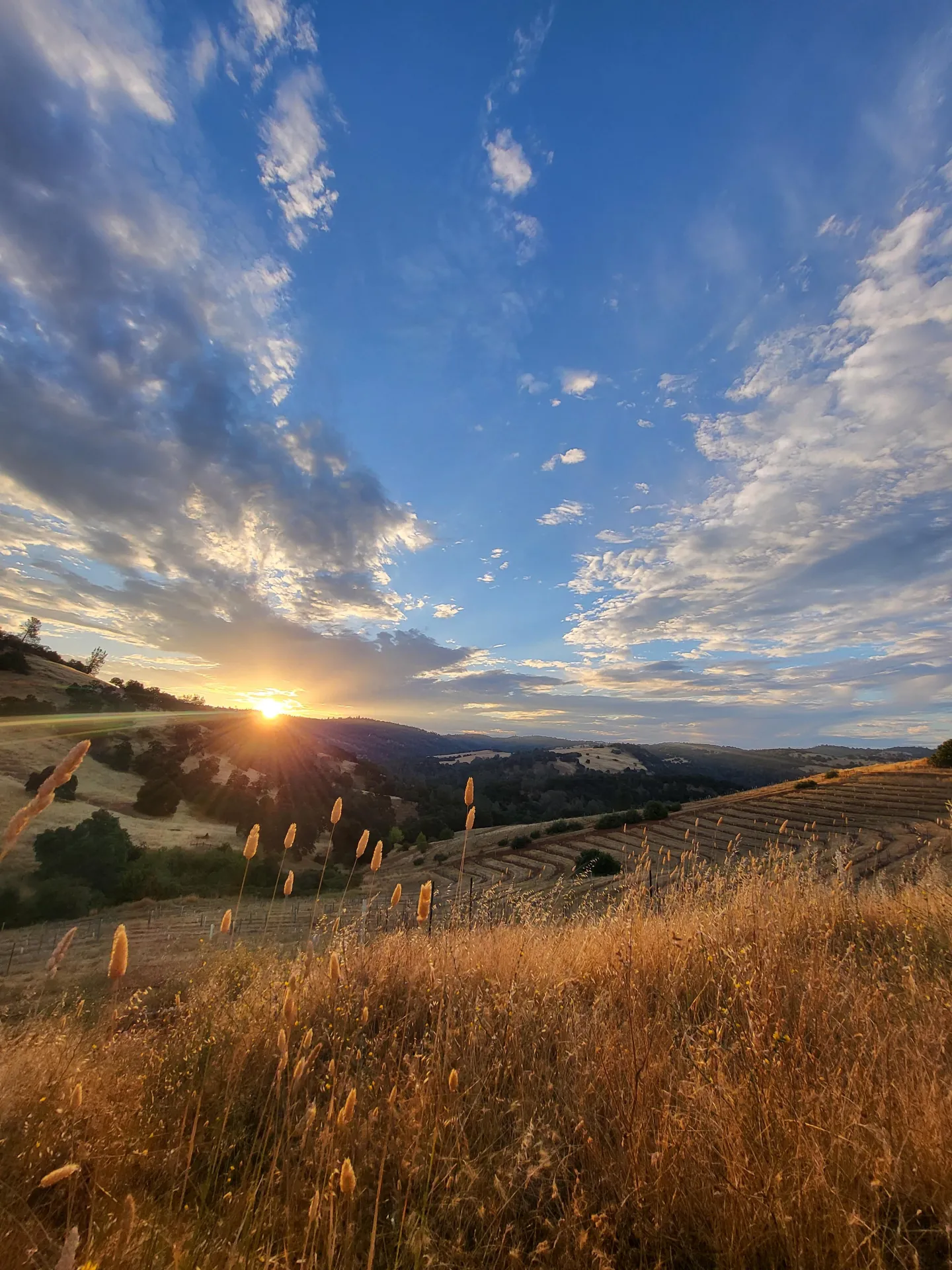 Farming in the Foothills