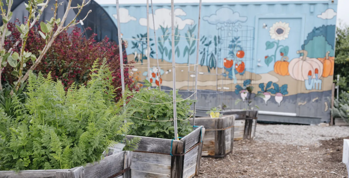 A container garden with a mural in the background.