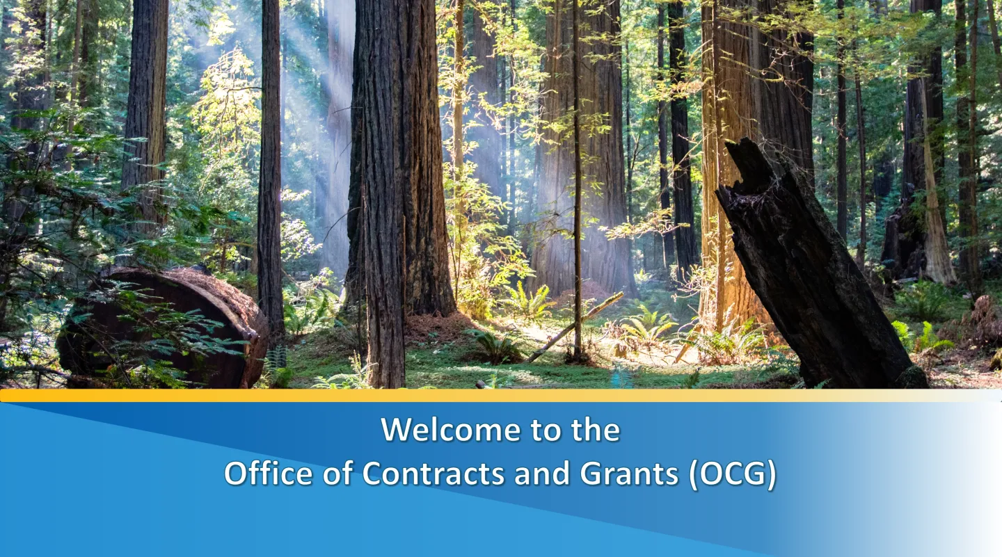 Welcome to the Office of Contracts and Grants (OCG)