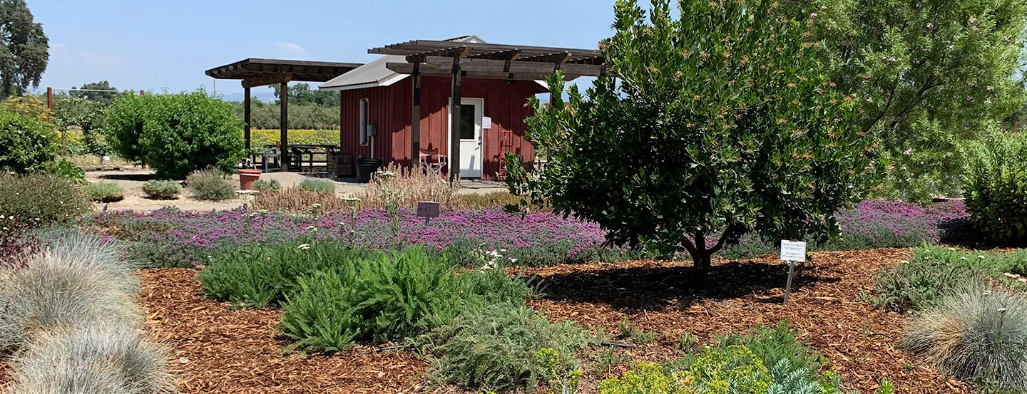 UC Master Gardeners of Butte County Demonstration Garden and Outdoor Classroom