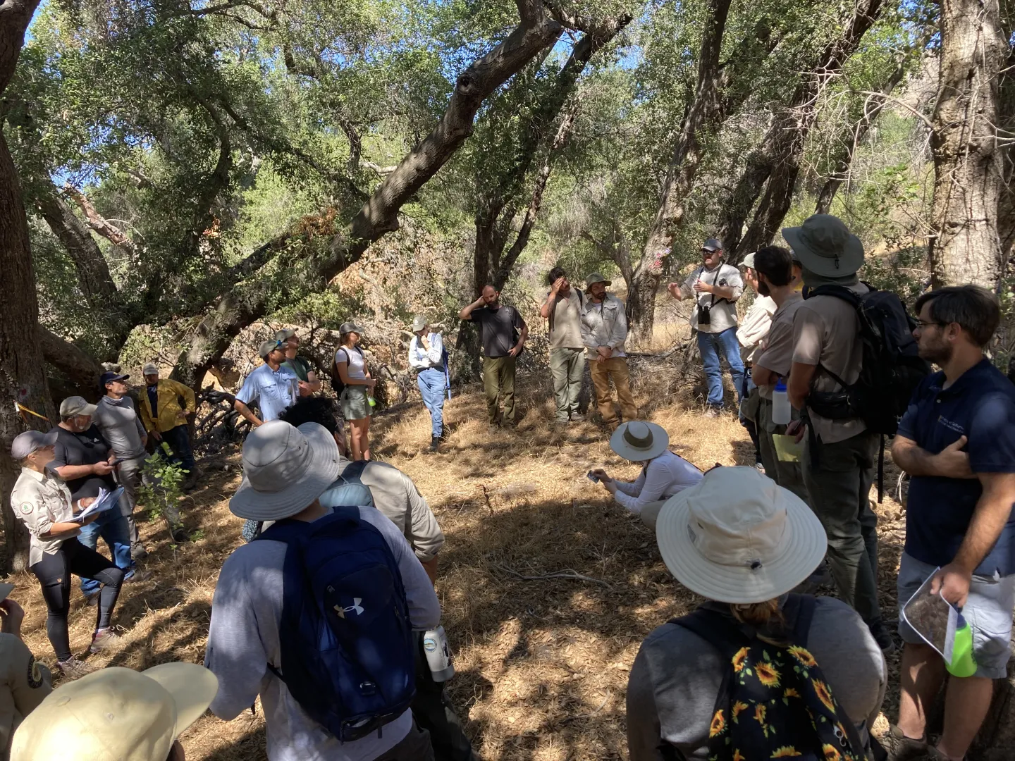 Participants at field training in oak woodlands.
