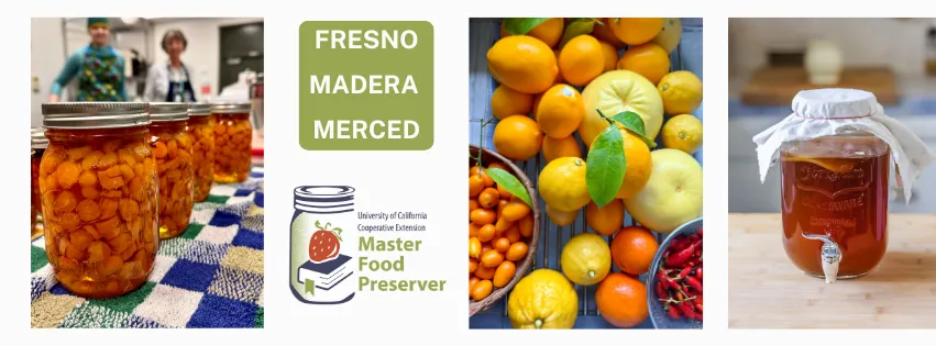 Canned carrots, MFP logo, citrus, jar of kombucha