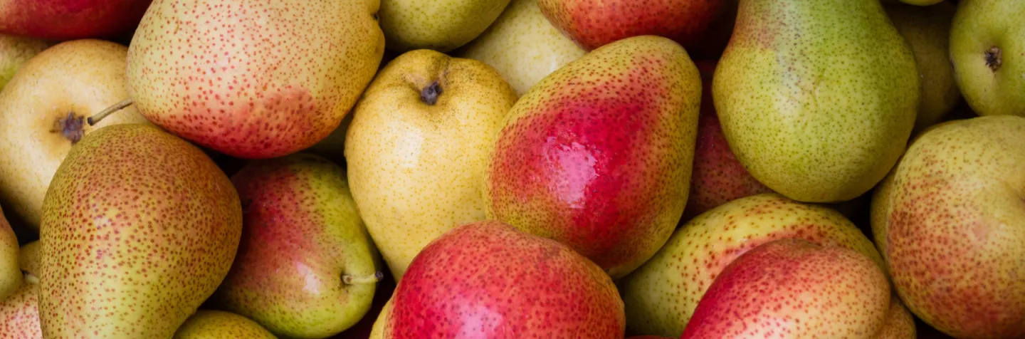 bin of pears