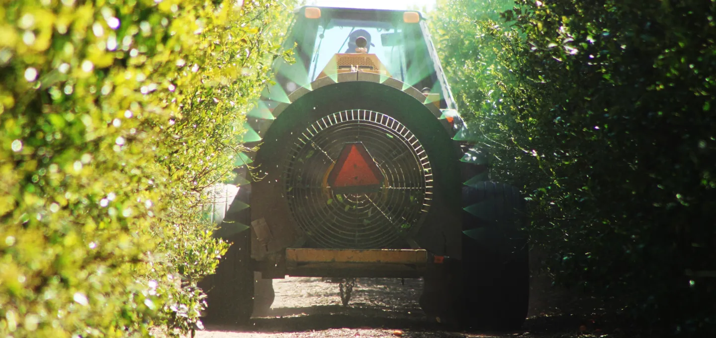 A sprayer discharging spray onto tree canopies