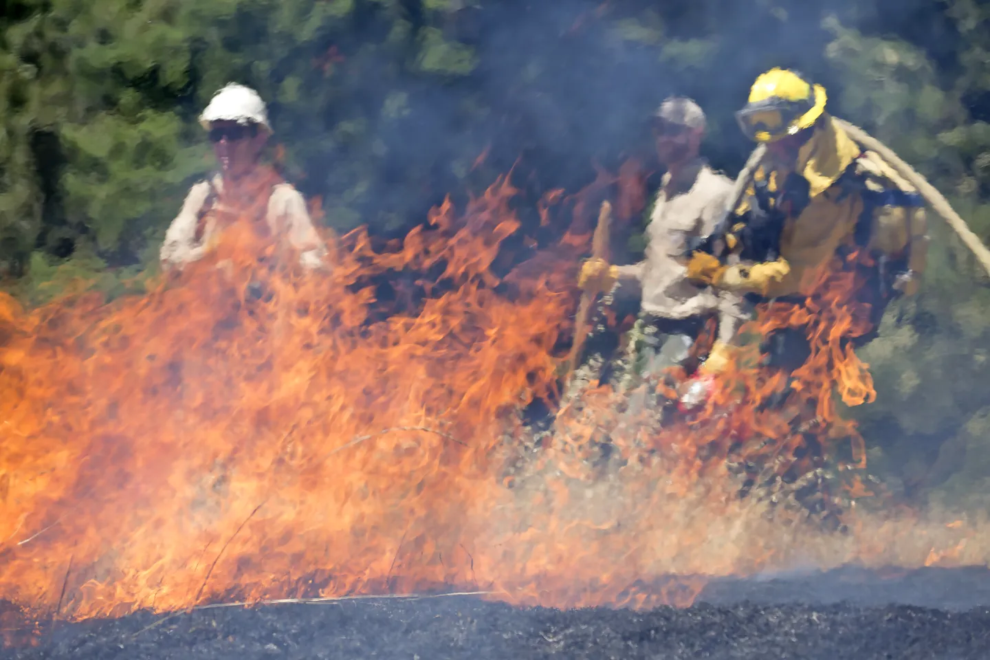 Community members participating in a prescribed burn at Hopland REC.