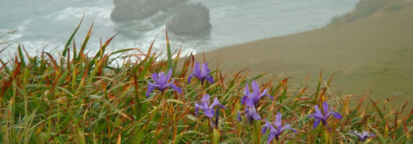 UC-Master-Gardeners-Sonoma-County-winter-spring-2026