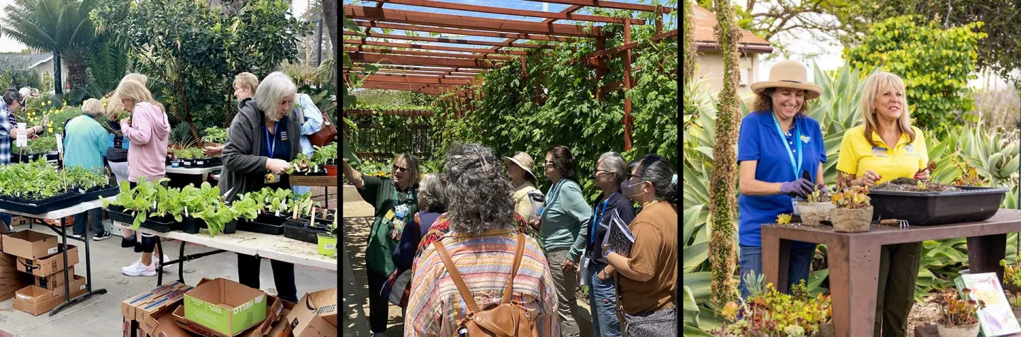 UC Master Gardeners of Orange County at events