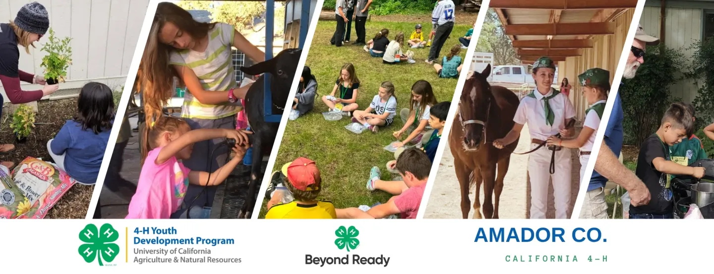 Collage of Amador County 4-H youth participating in activities such as gardening, horsemanship, goat grooming, camp, and cooking!