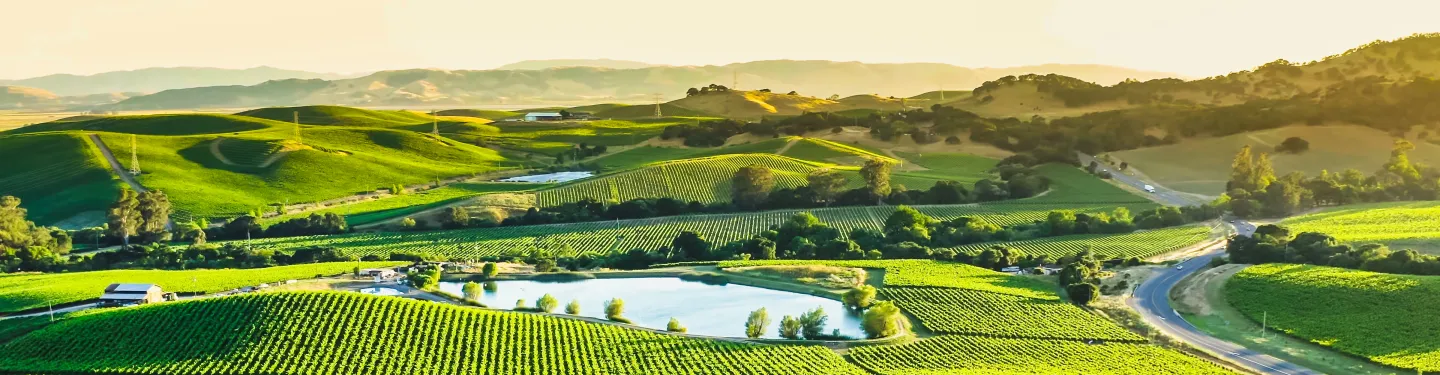 California agricultural landscape_edited