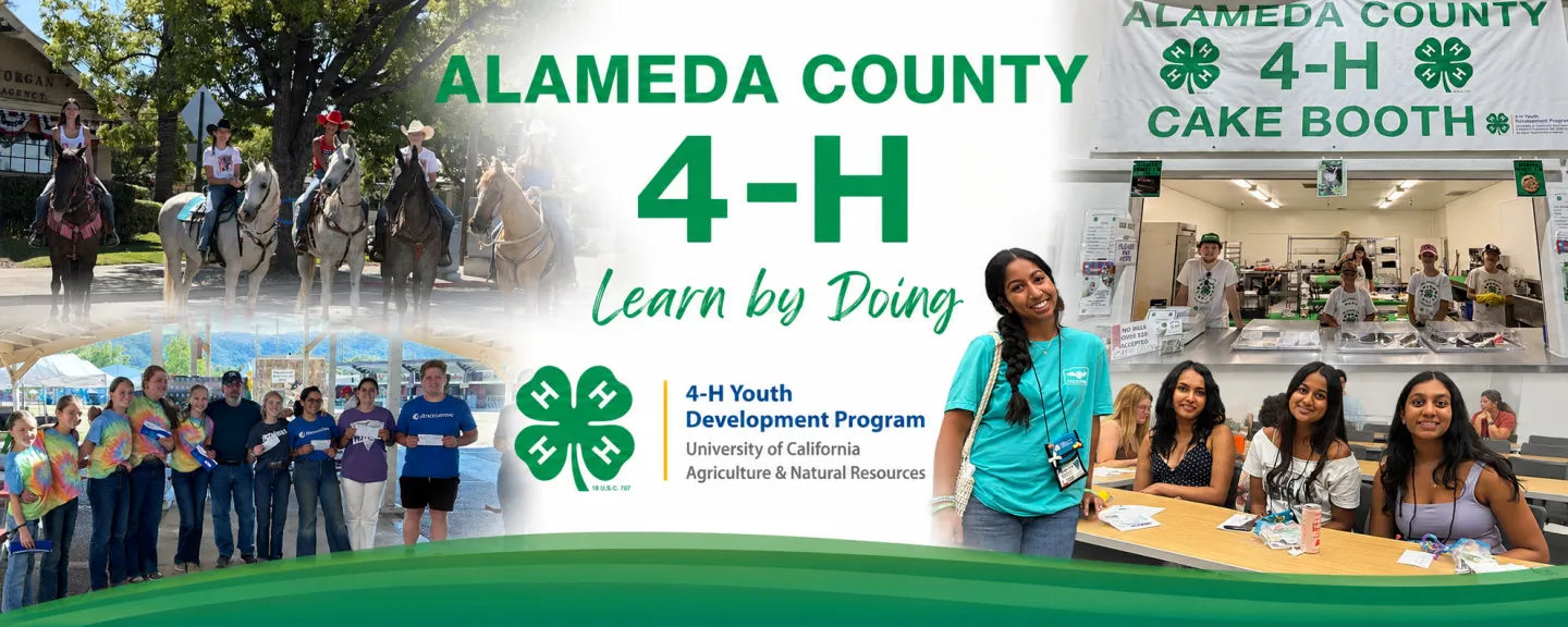 Banner featuring Alameda County 4-H youth participating in horseback riding, leadership, food service, cultural education, and recognition activities, with the 4-H Youth Development Program logo and the slogan "Learn by Doing."