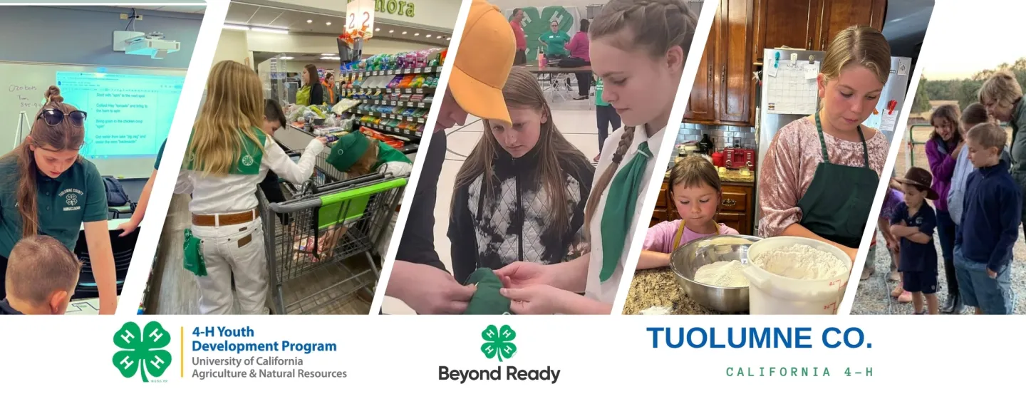 Collage of Tuolumne County 4-H youth participating in activities such as cooking, leadership, civic engagement, and veterinary science.